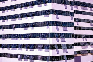 开云体育官网下载-中国篮球职业联赛青训体系建设与优化，中国青年篮球队