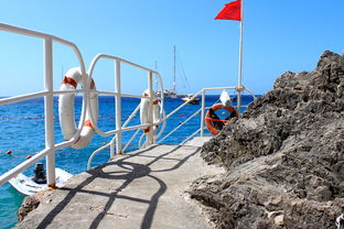 开云体育官网-球场安全：未来球场与安保新思路，球场防护