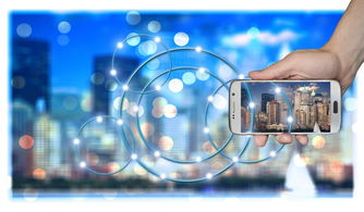 开云体育下载-高校运动训练科学化管理策略研究，高校运动训练科学化管理策略研究论文