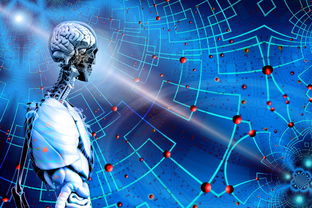 开云体育官网上-体育新闻中心上线体育赛事数据可视化展示平台，体育新闻(全程回放)